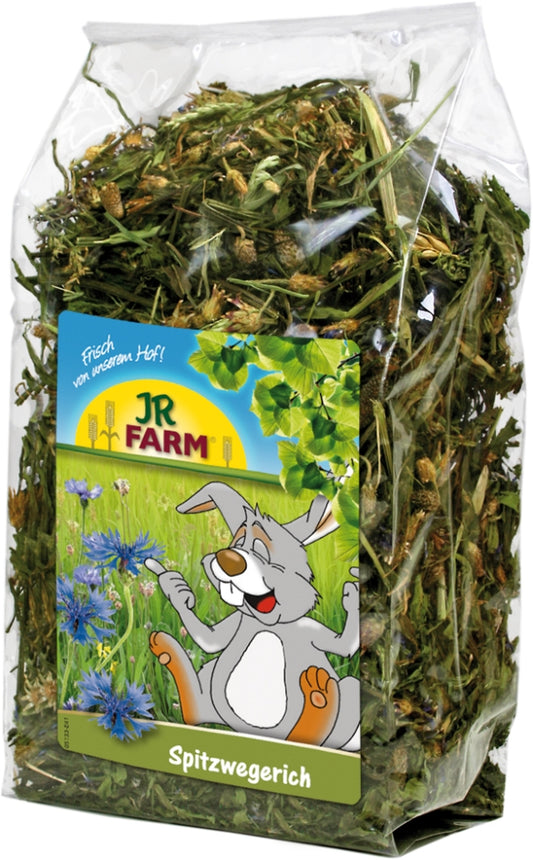 JR Farm Spitzwegerich 100g