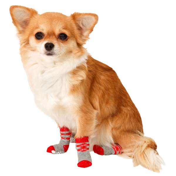 Karlie Doggy Socks Hundesocken 4er Set - Rot/Grau - M