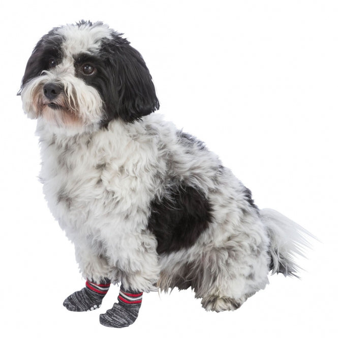 Trixie Hundesocken - Grau - XXS-XS