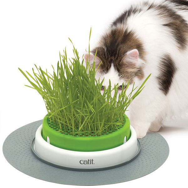 CATIT Senses 2.0 Grastopf - Grass Planter