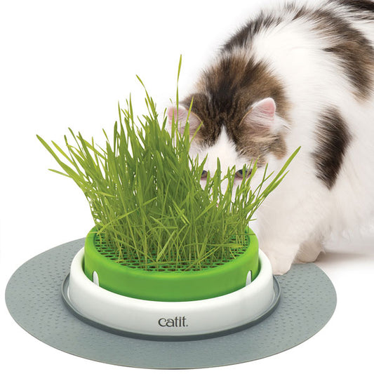 CATIT Senses 2.0 Grastopf - Grass Planter