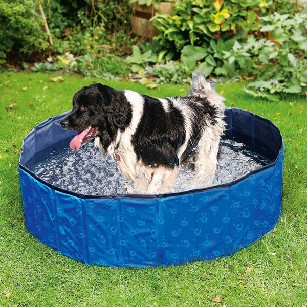 Karlie Flamingo DOGGY POOL Swimmingpool für Hunde - Blau gemustert - 160 cm