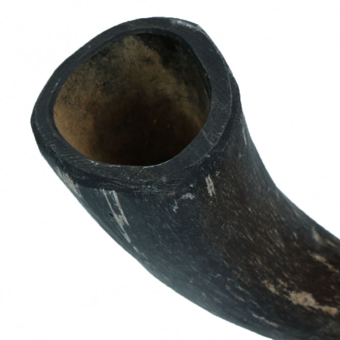 Viking Whole Horn - M