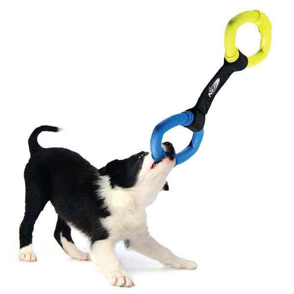 NERF DOG Two-Ring Strap Tug