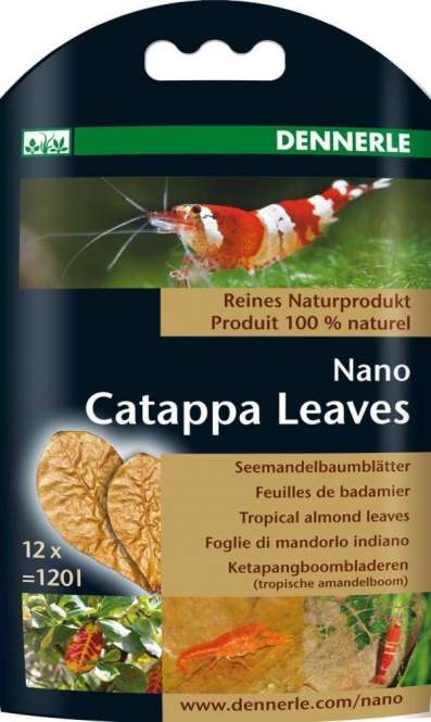 Dennerle Nano Catappa Leaves